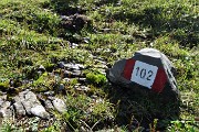 35 Percorso il sent. 153, prendo a dx il sent. 102 